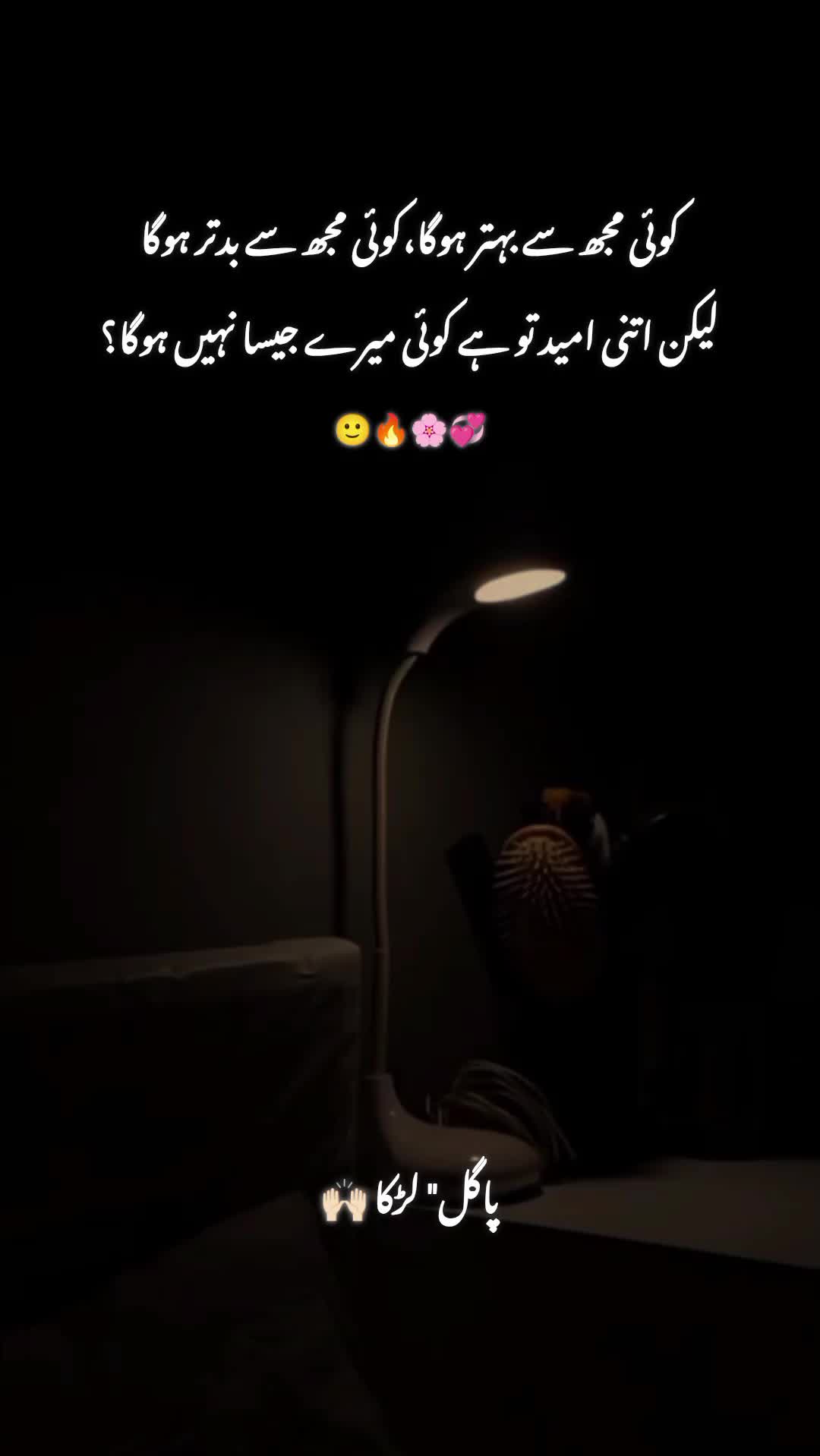 @پاگل لڑکا 🤍🥀