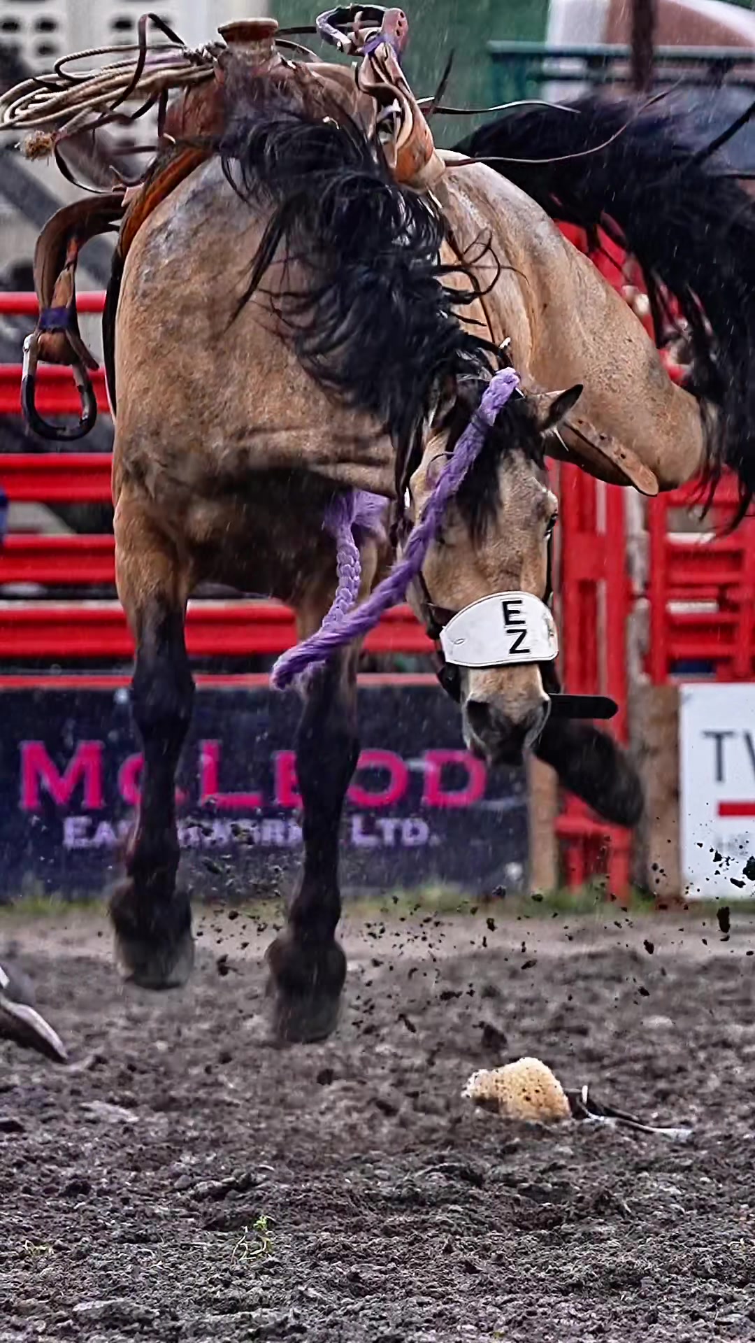 @Hanginghorses