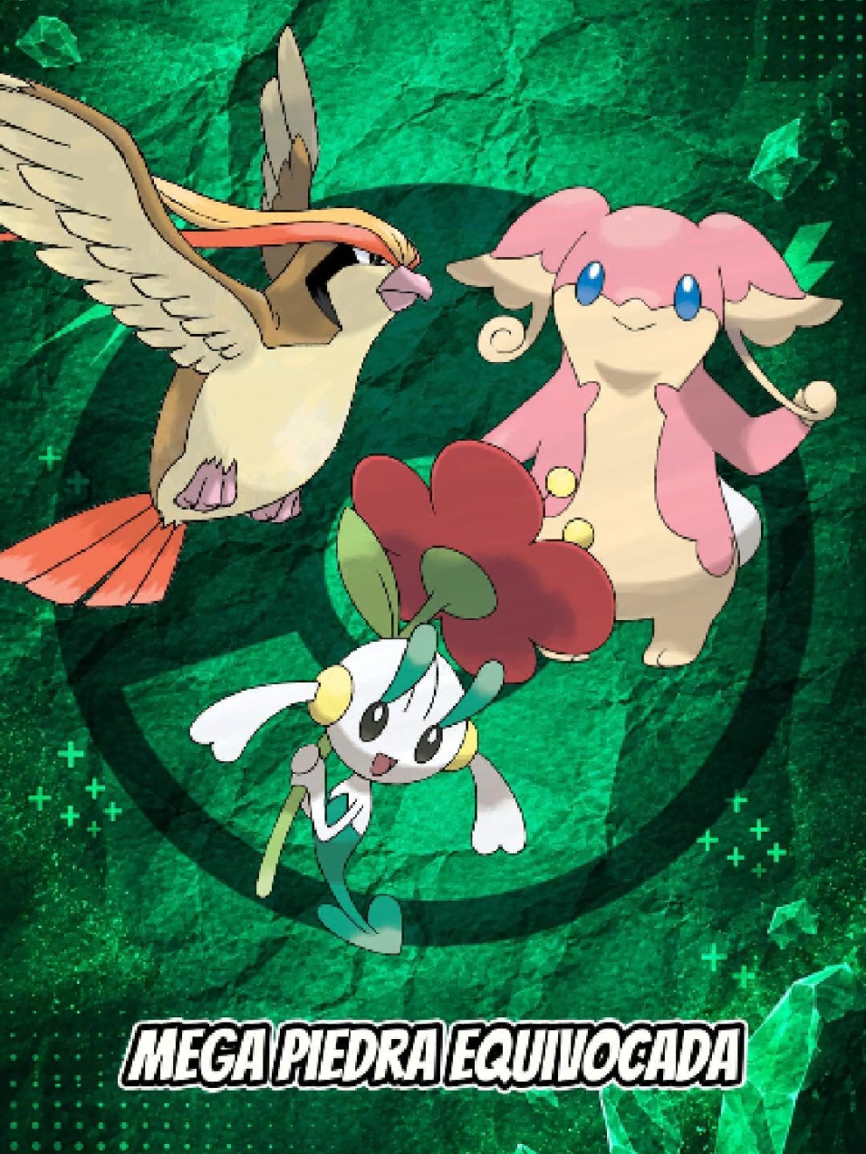 @SERGIO | POKEMON PHOTOGRAPHER