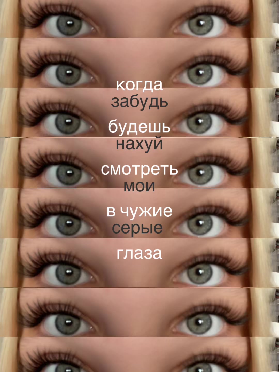 @motya