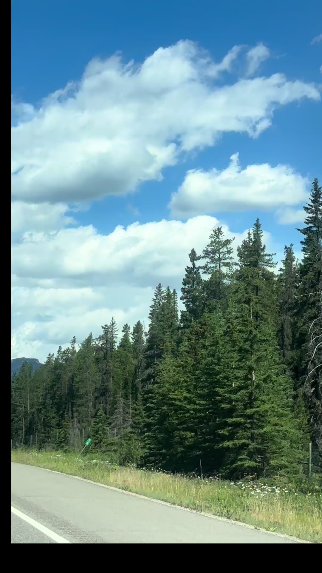 @Ada 🇨🇦