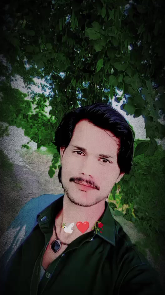 @Rasheed Rasheed