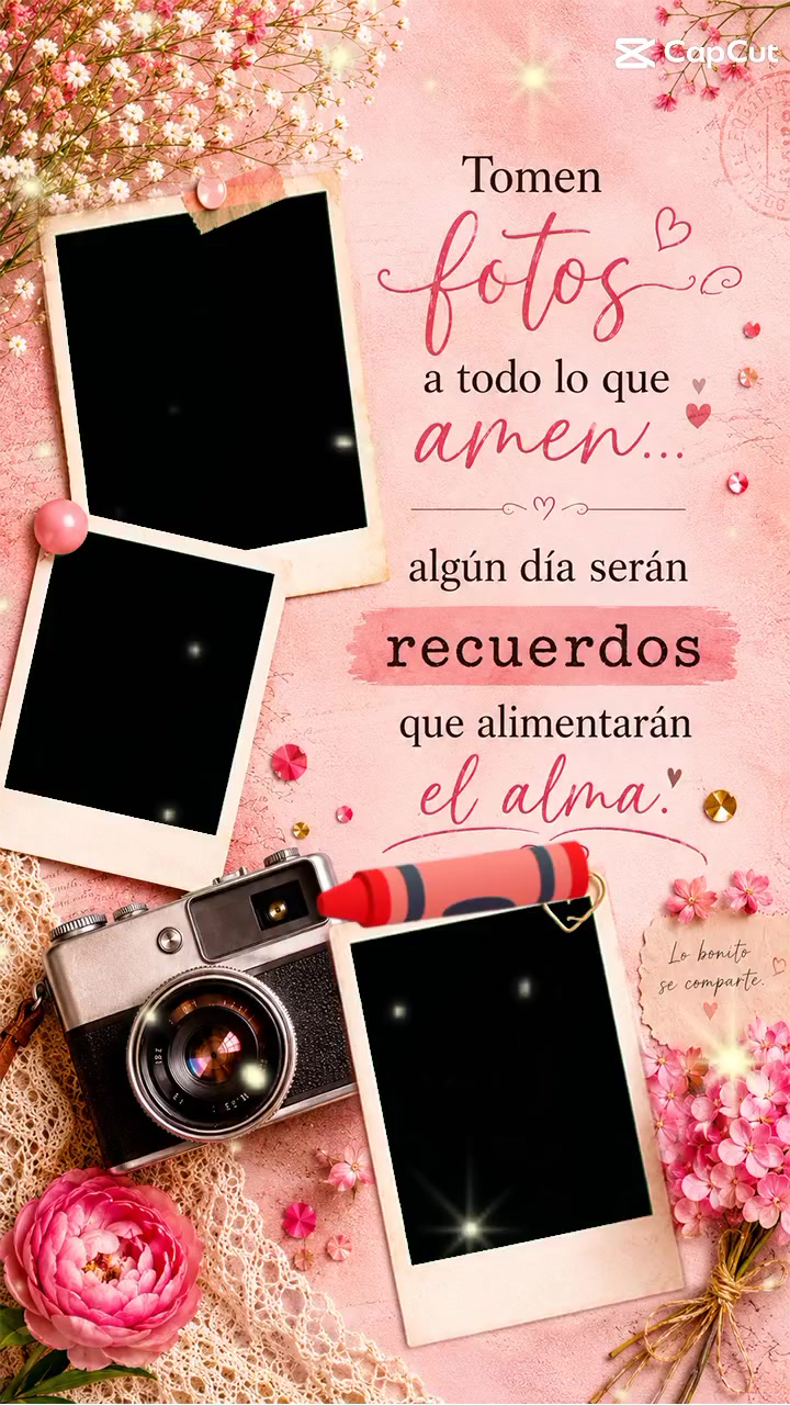 @Moonsel85 🦉🌘🌒🌕🌌