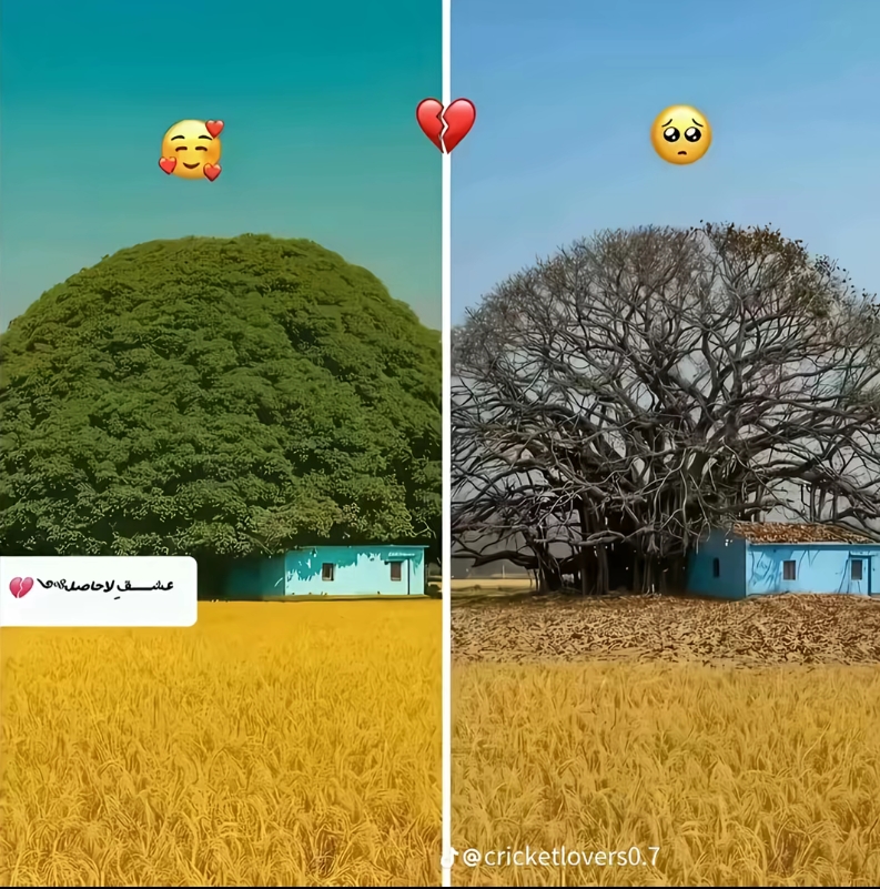 @🆂🅸🅽🅶🅻🅴 🅱🅾🆈 🆂🅷🅸🆅