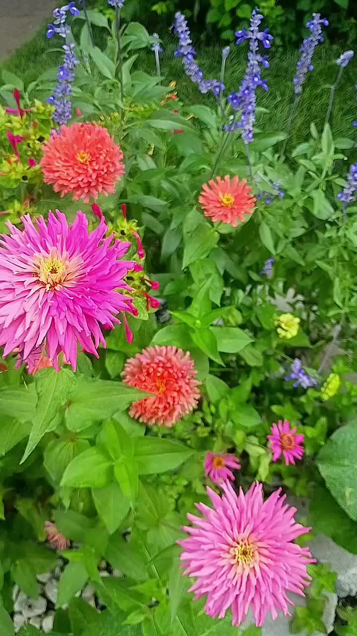 @O.G.