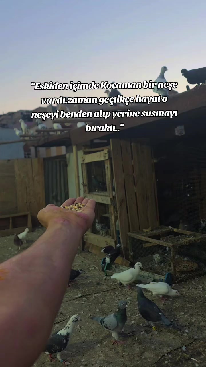 @EkReM dEmİr