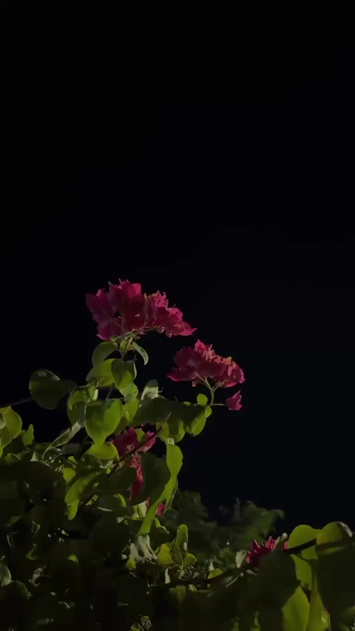 @𝓨𝓸𝓾𝓼𝓲𝓯  ོ ⠀