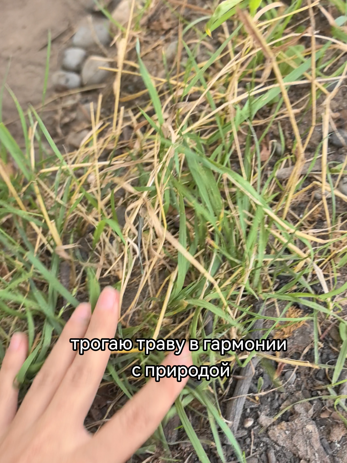 @𝐓𝐆𝐊: 𝐀𝐤𝐬𝐢𝐧𝐞𝐁𝐬 🔥