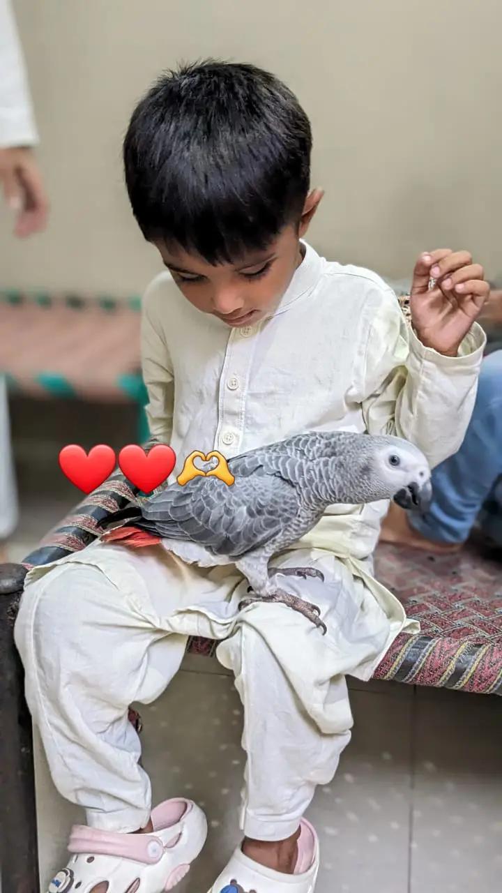 @Irfan laliya 🇵🇰