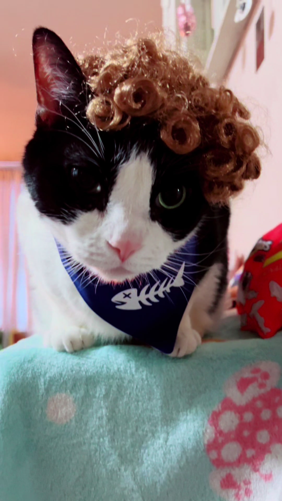 @Concerned_Kitty
