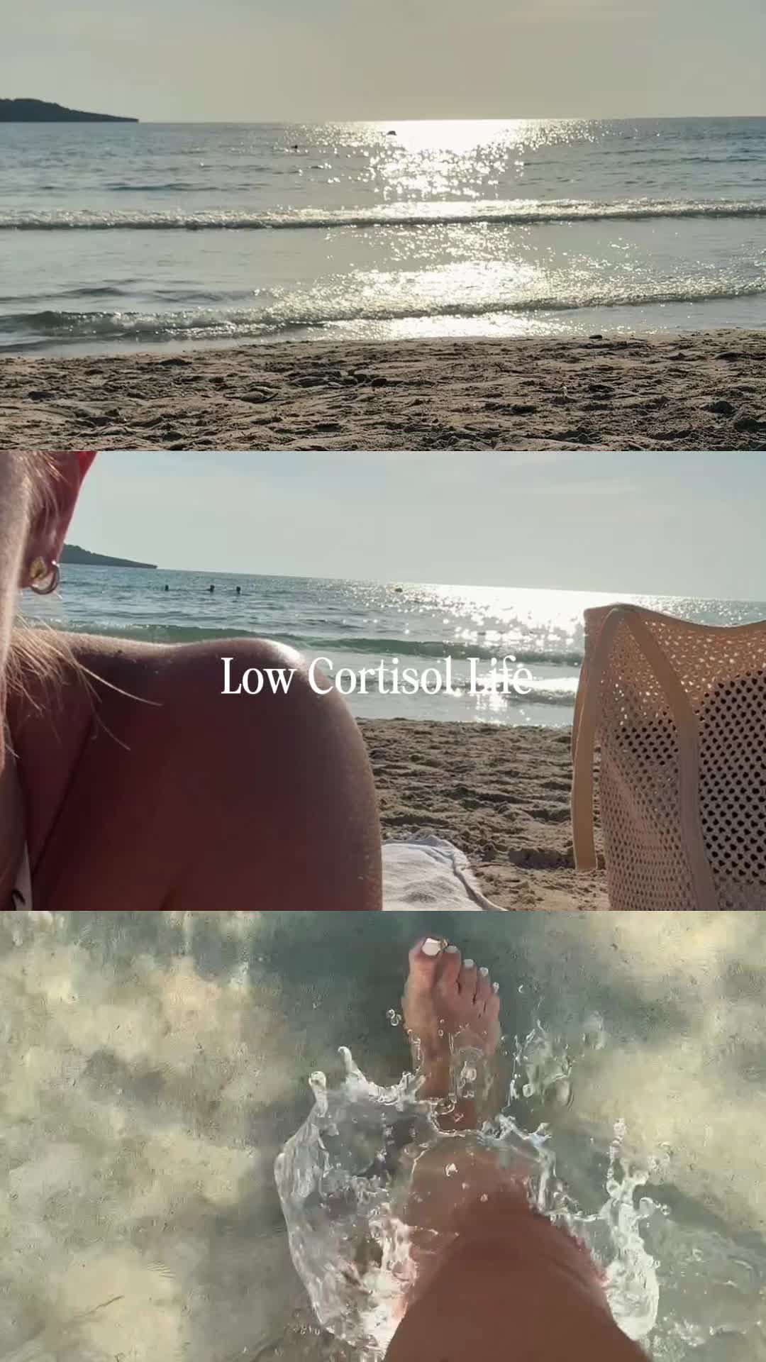 @sa.littleworld