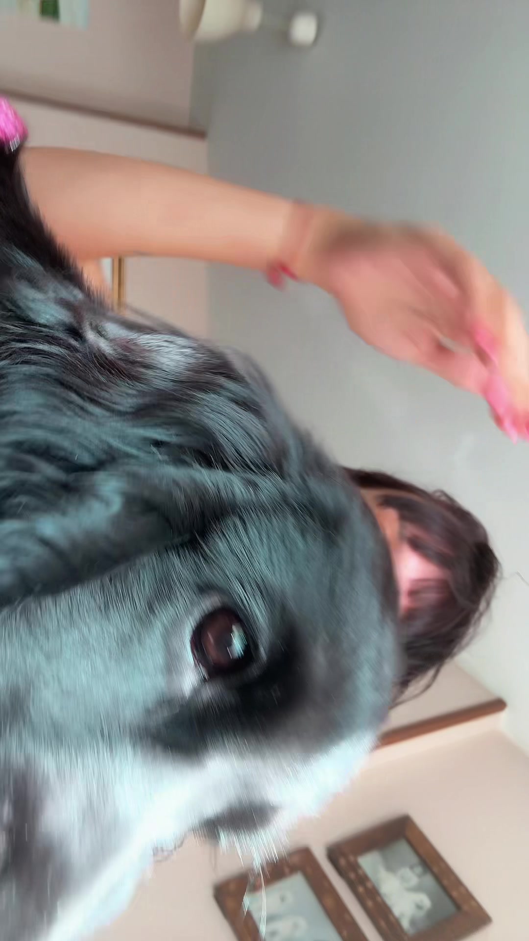 @Clauu🦕