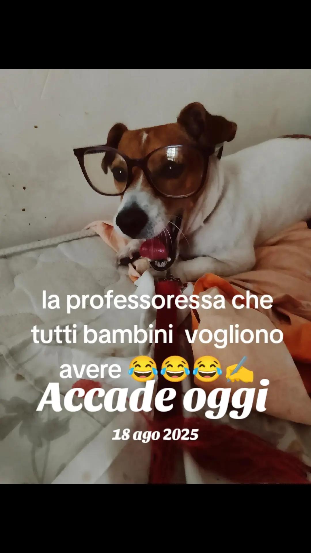 @Alessandra Cirillo