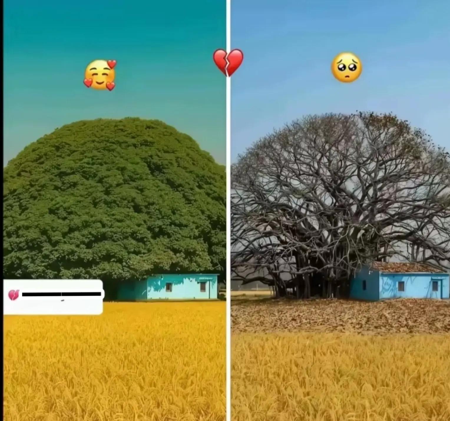 @S 🥀💐🥀🌹🥀🌹😊💐🌹🥀🥀🌹💐💐