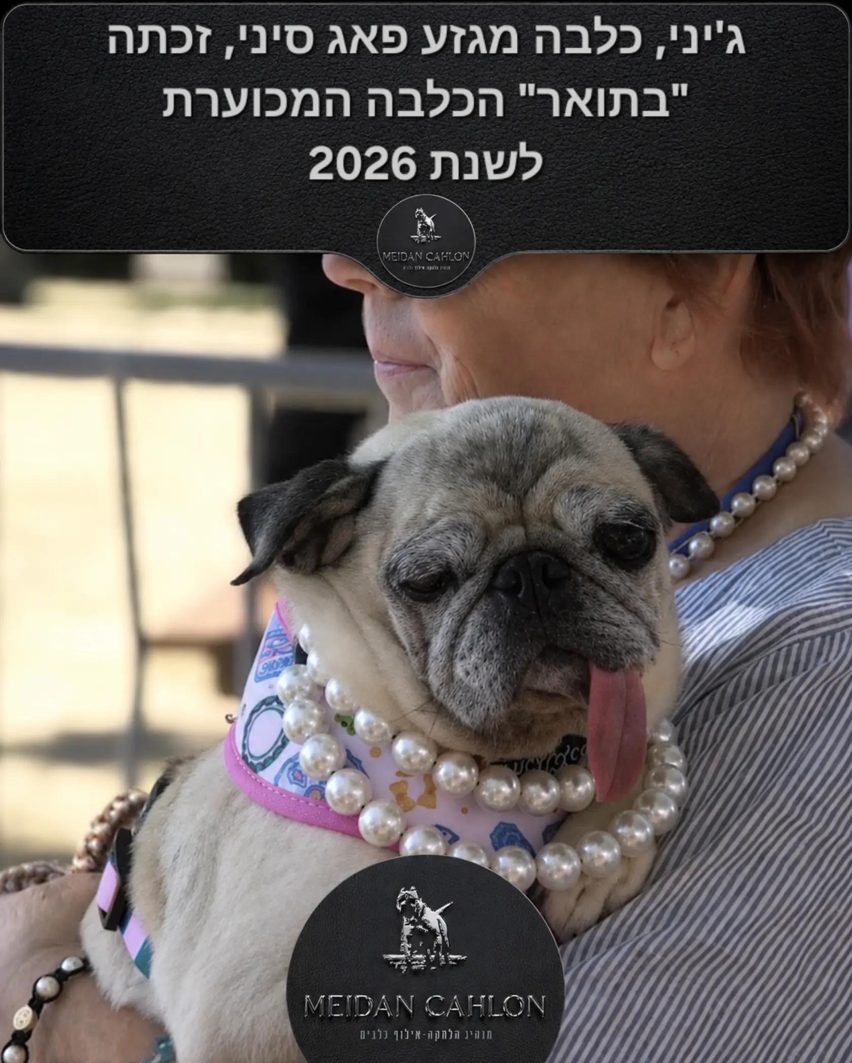 @מידן כחלון מנהיג הלהקה