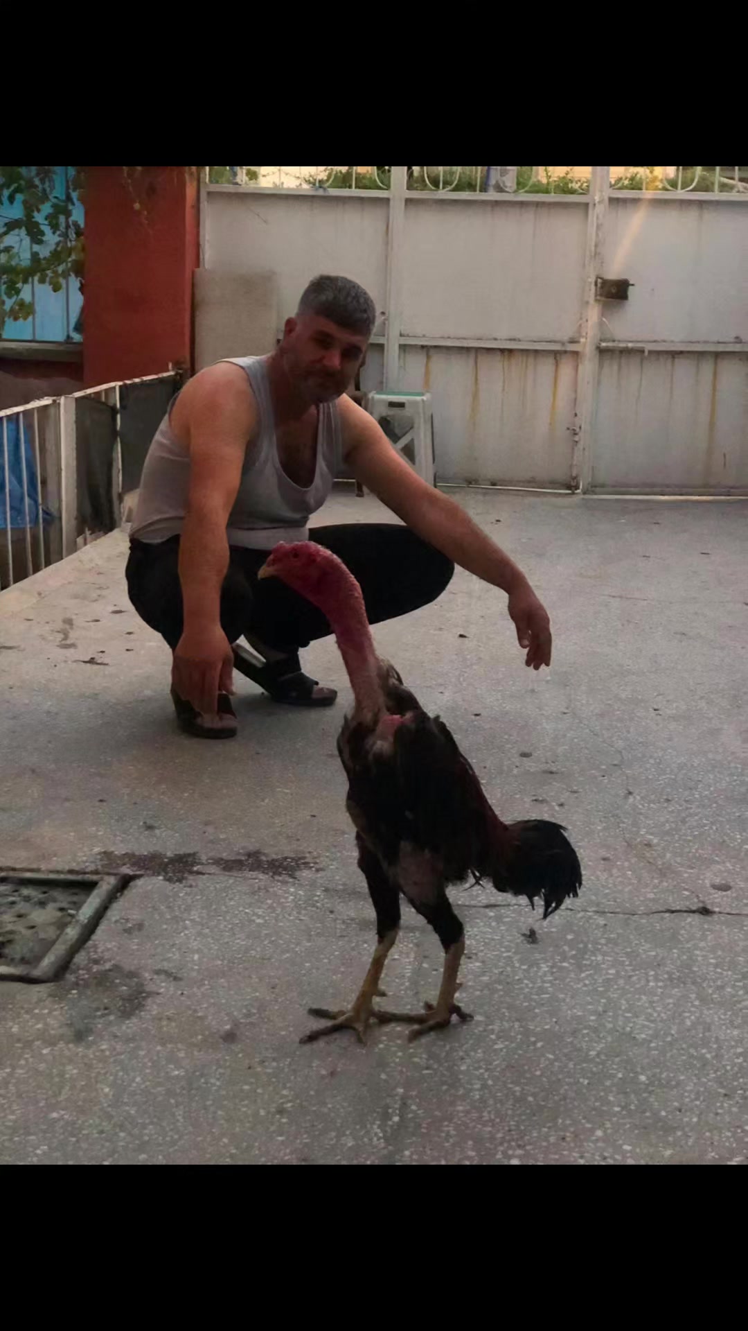 @&Ouml;zdemir Ahmet &Ouml;zdemi