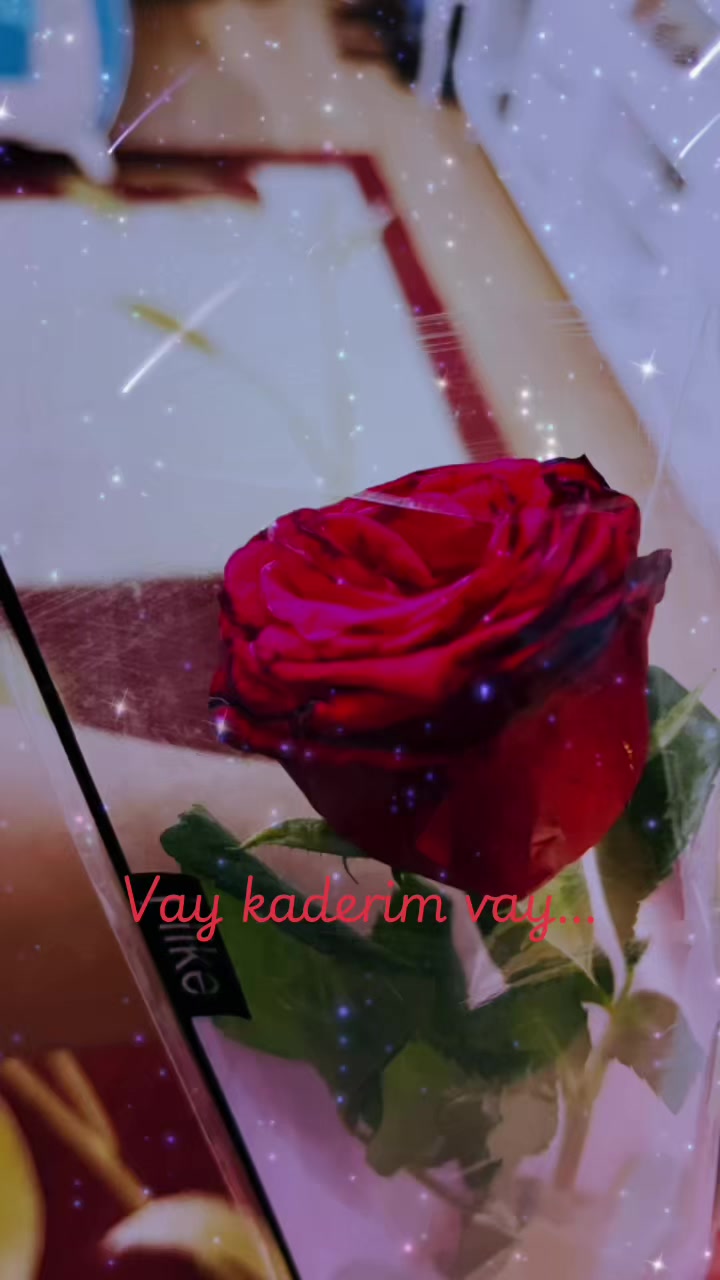@🦂Yelizz🦂