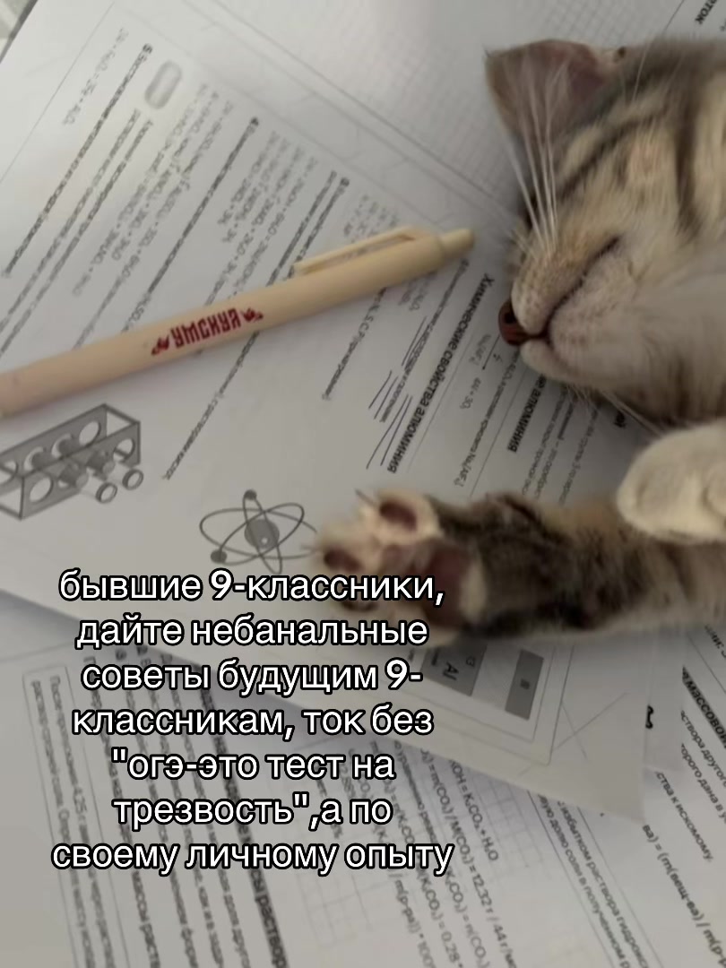 @zybrilka777