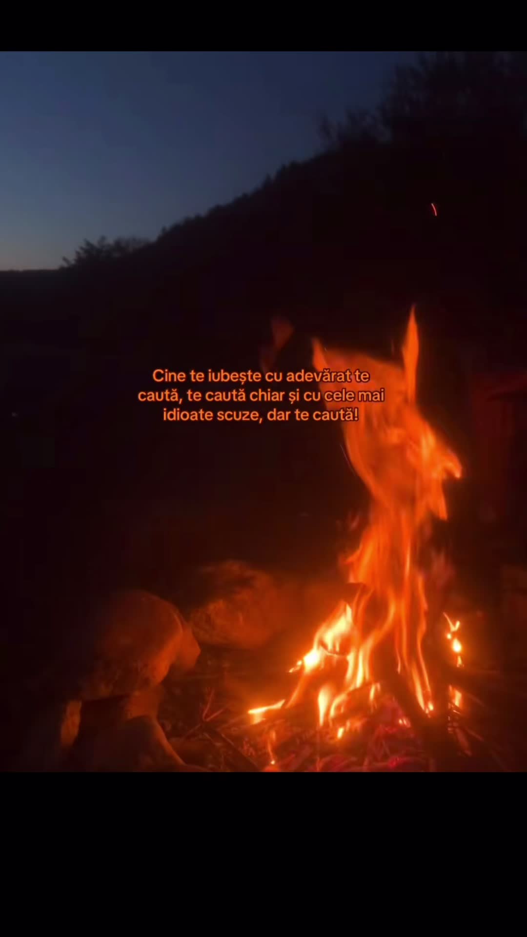 @Citate_cu_de_toate