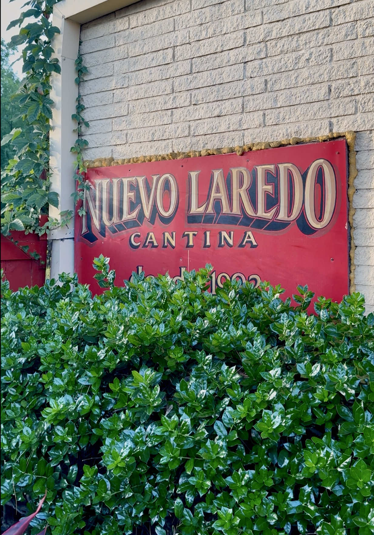 @Hungry Hay | ATL
