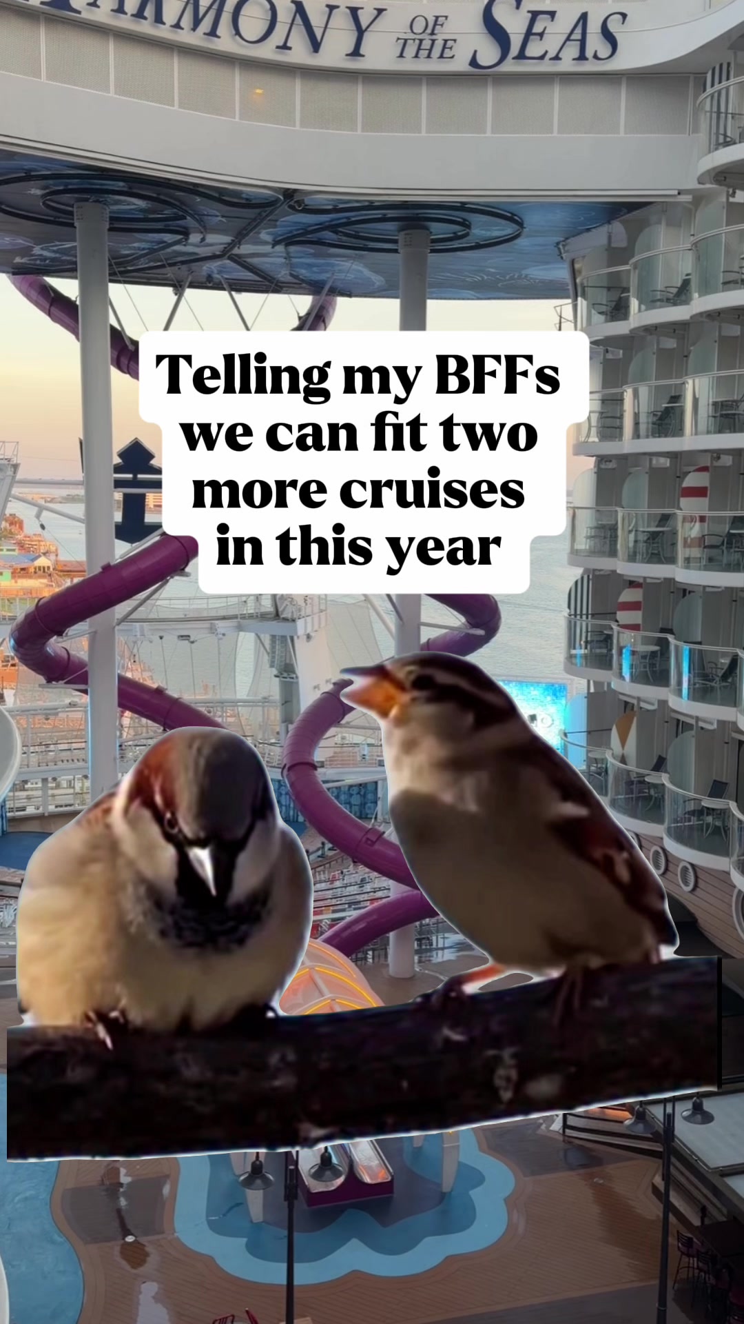 @FeistyV