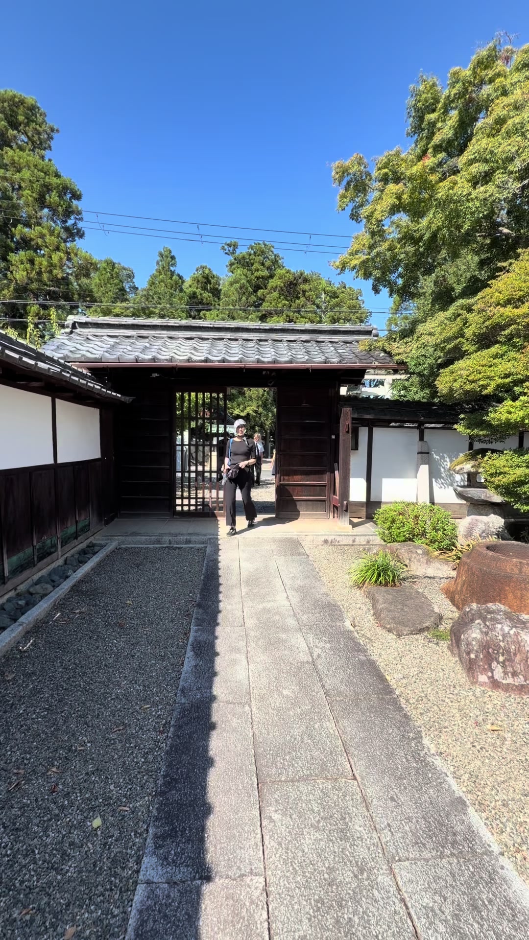 @コナモン協会の会長