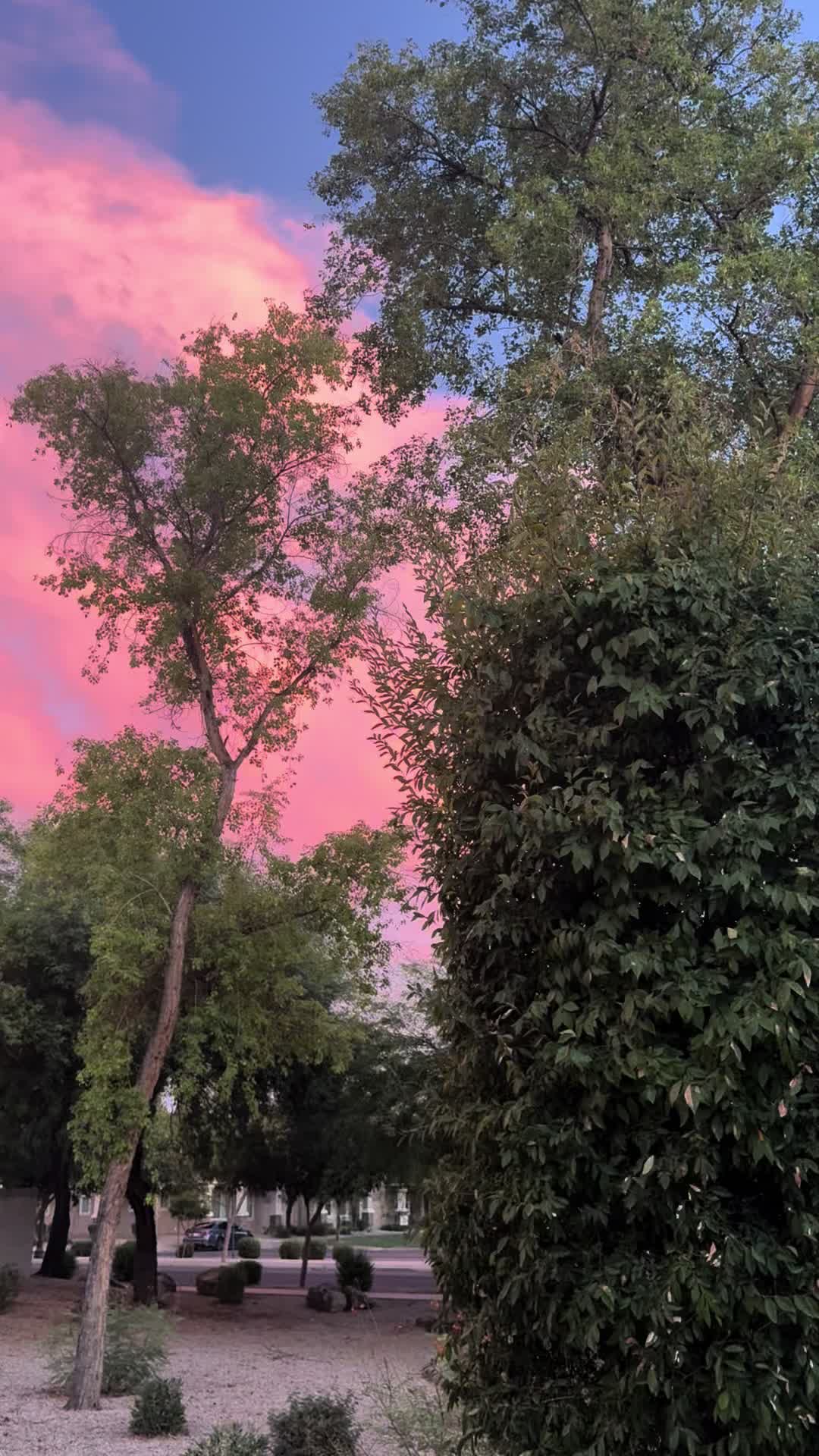 @littlemiss.sallyalice🌻
