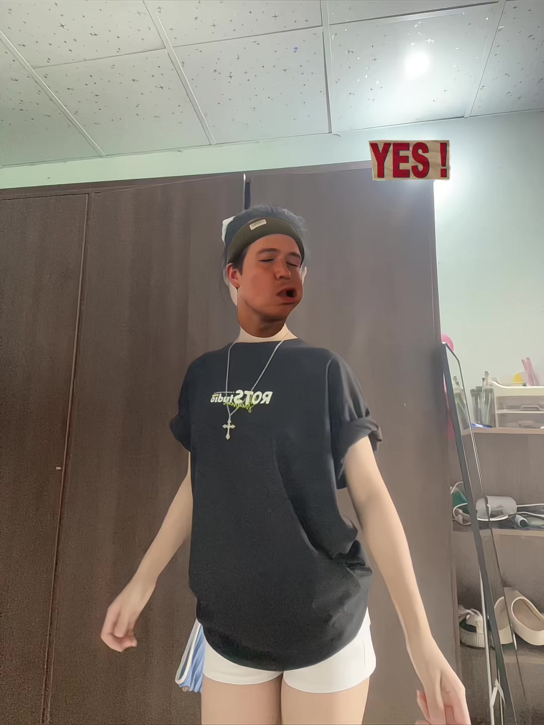 @🦩