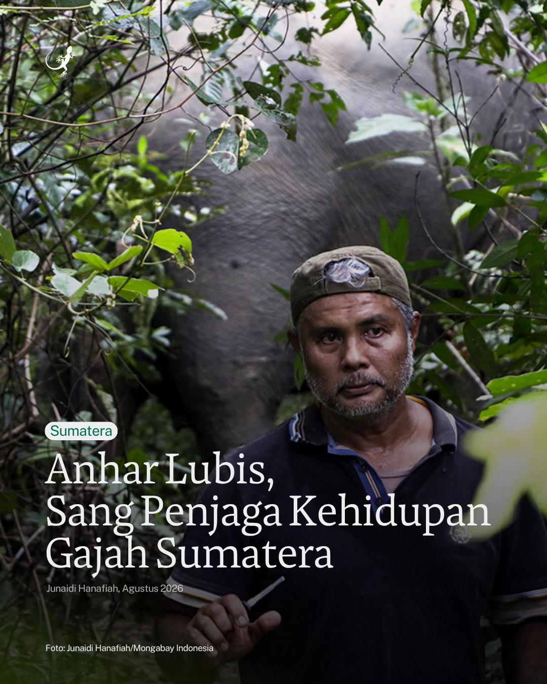 @mongabayindonesia