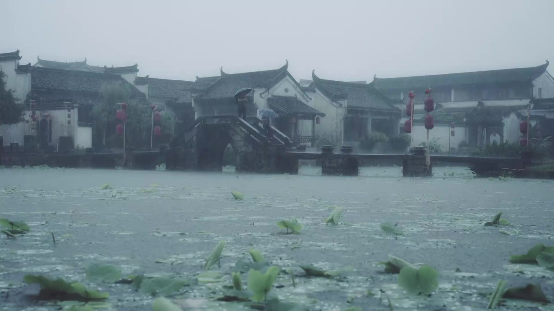 @竹丨《Tr&uacute;c Ảnh》 🌿