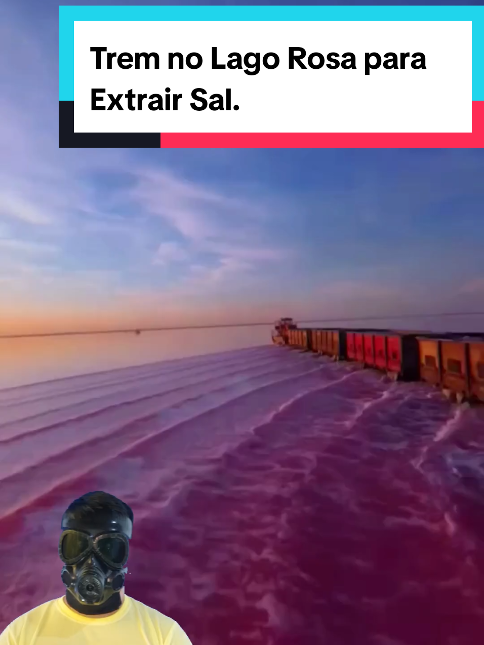 @Mundo da Curiosidades