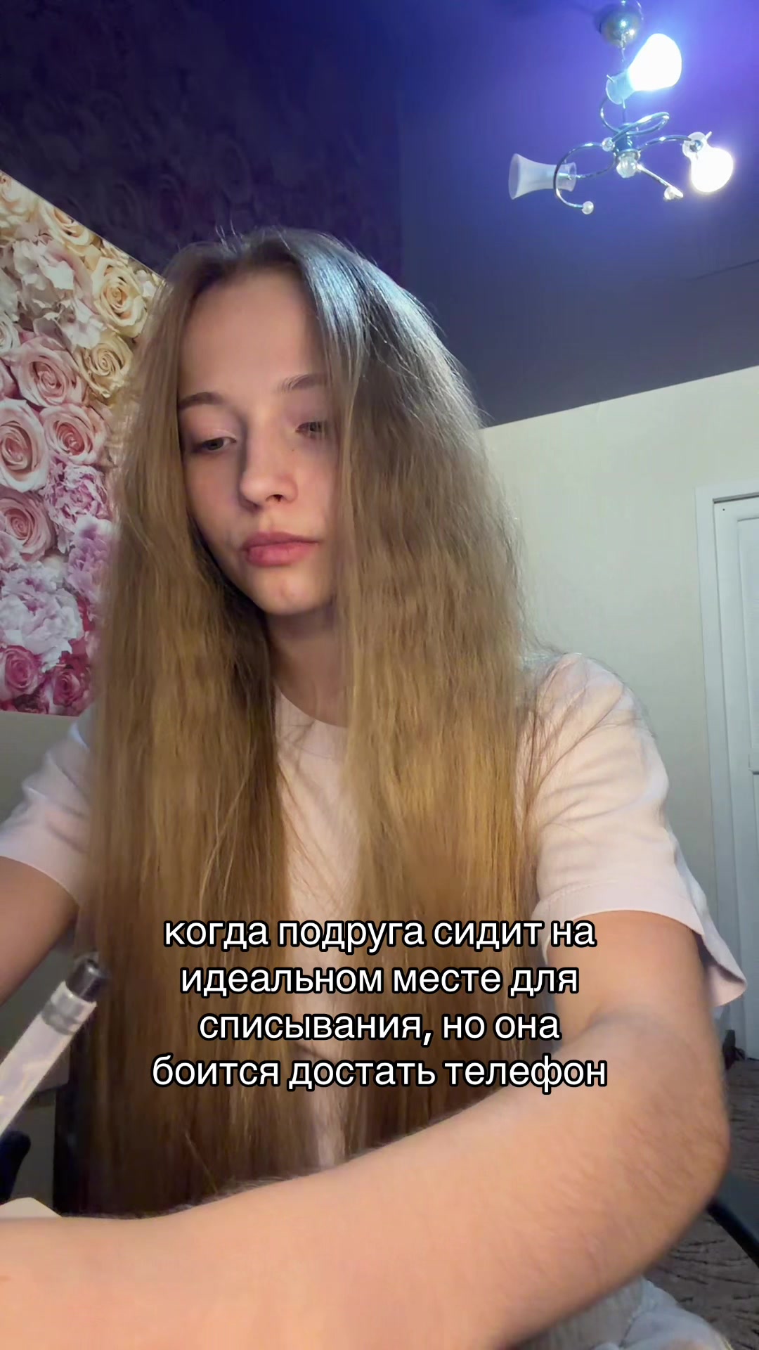 @🐈&zwj;⬛