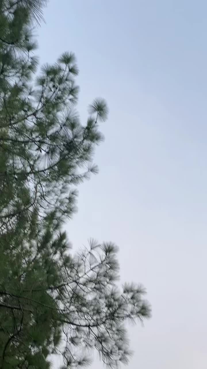 @RAحMAت