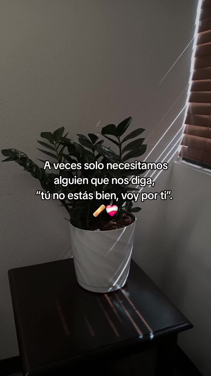 @L&iacute;a Sophia 💝