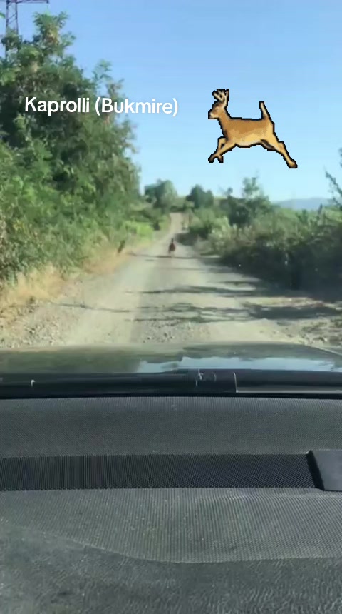 @MALETTONA