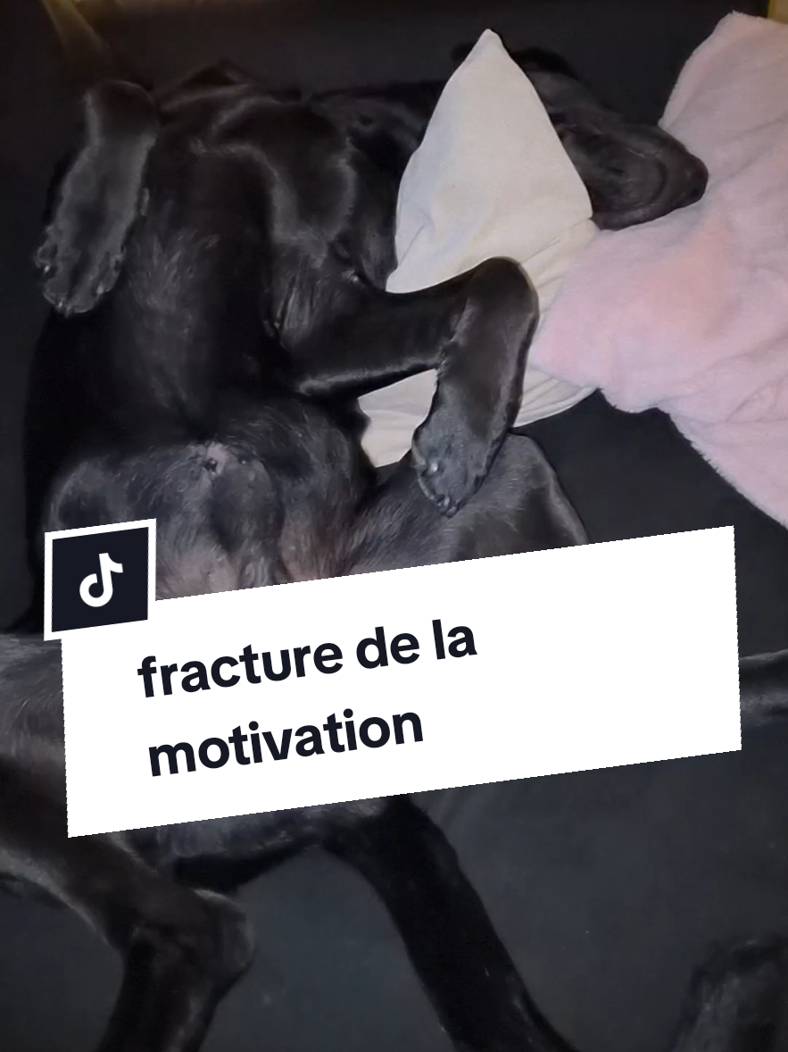 @Battman Batou