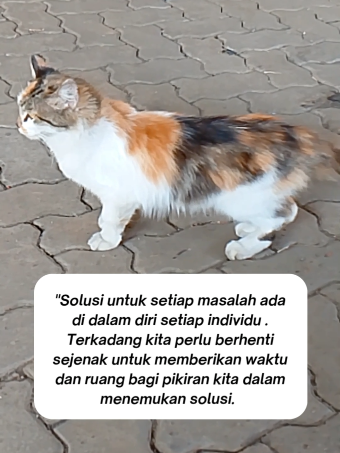 @Yus Kober