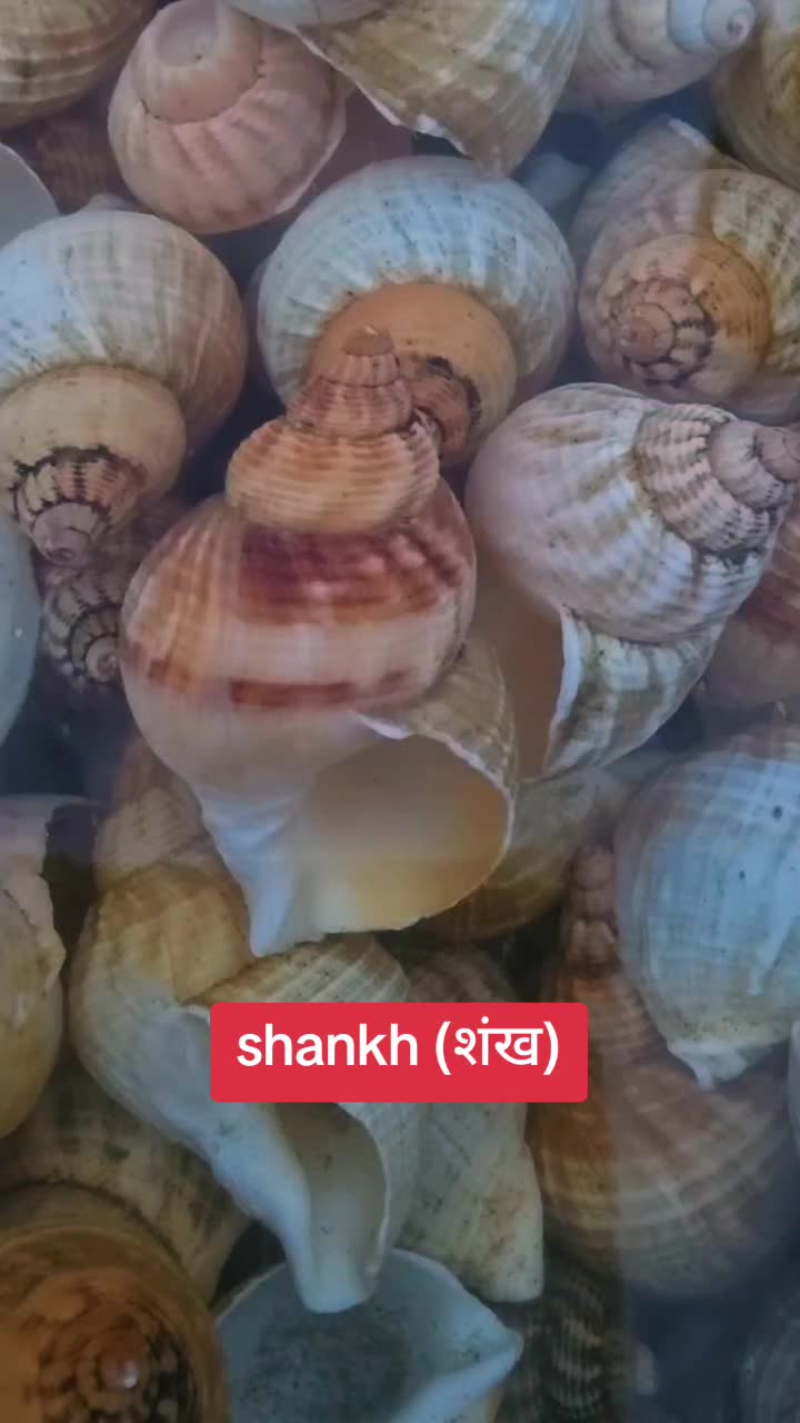 @BALJIT