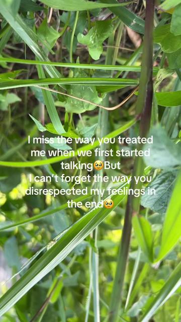 @Missy_Ming 🦋