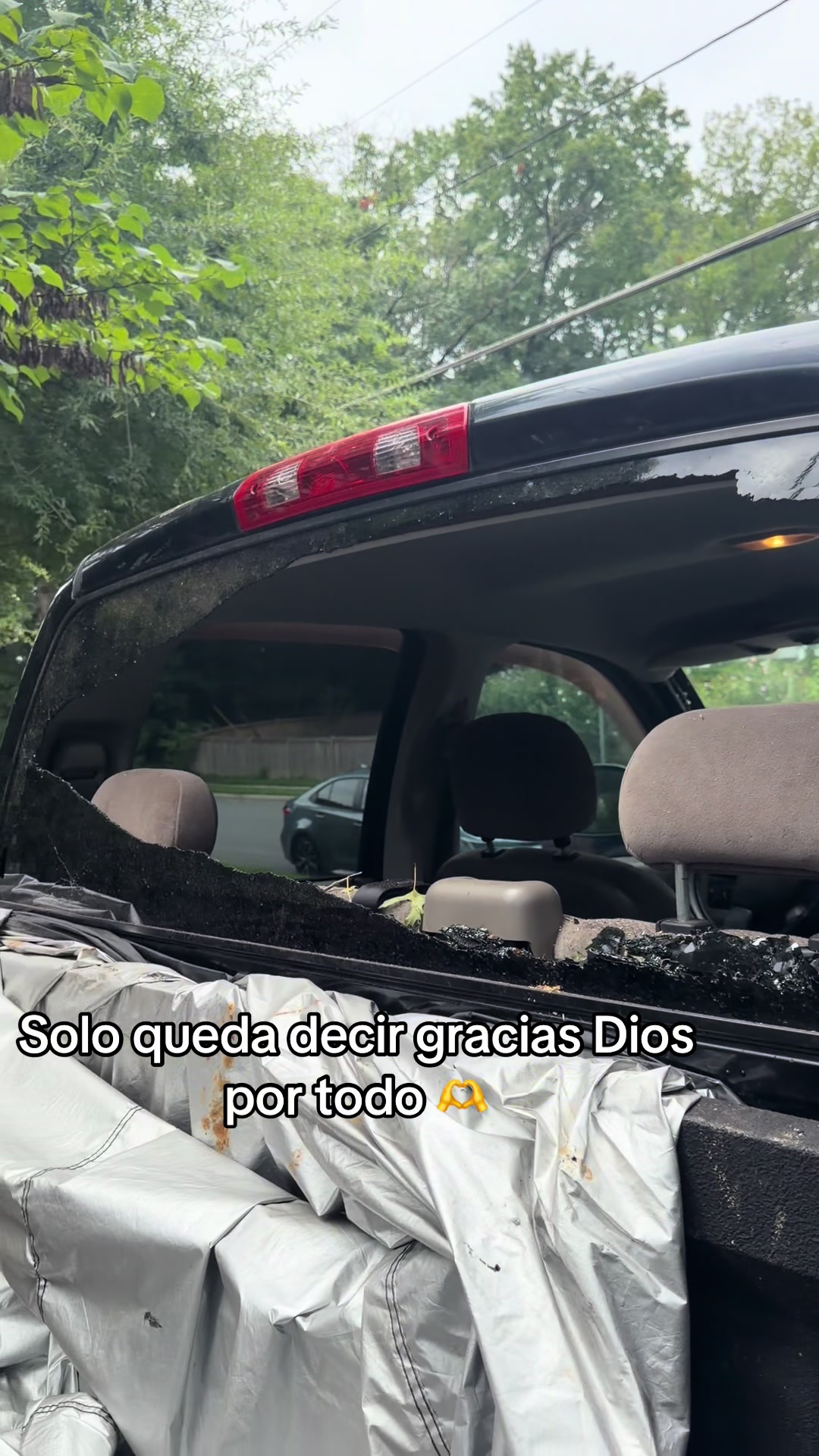 @🍀🦁🧿Yoss 🧿 🦁🍀