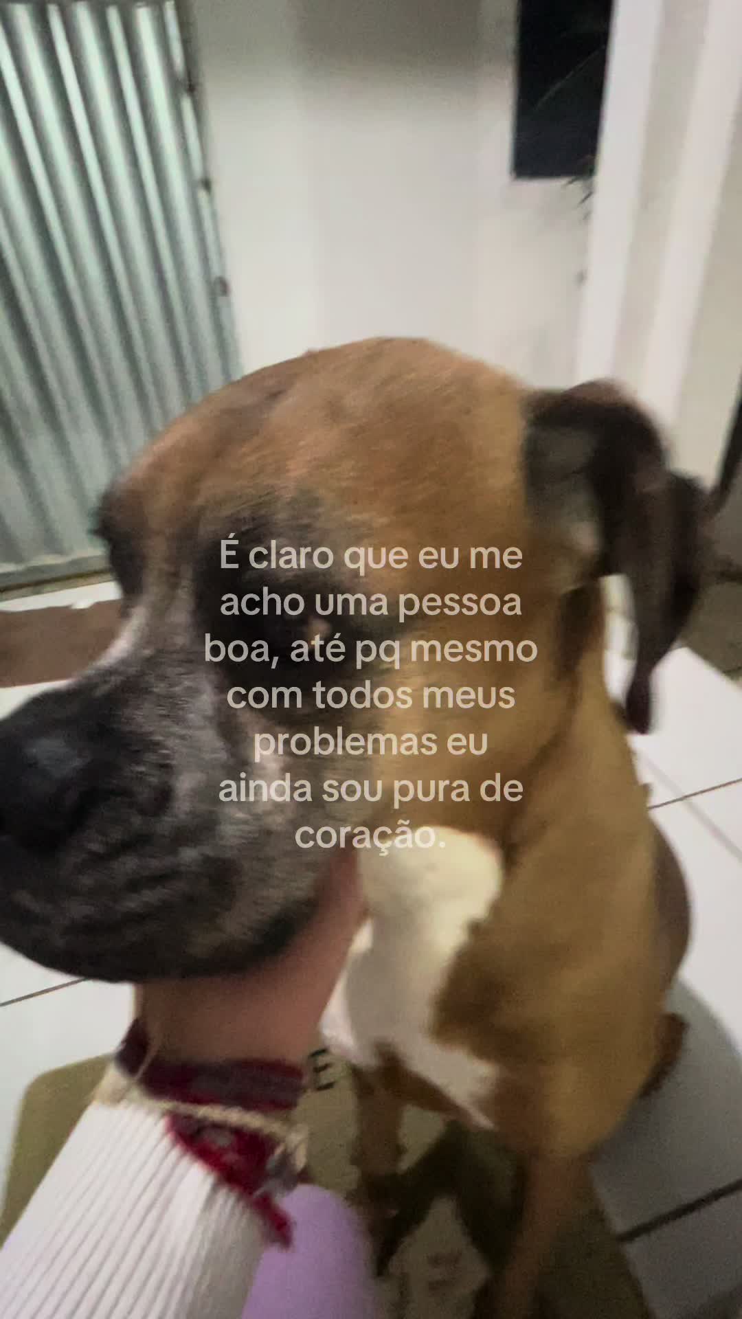 @Maria Lima🦋