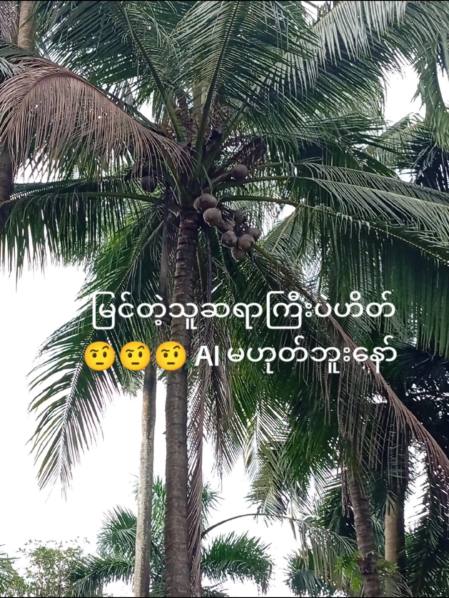 @💙LINLINKYITHU💙💙