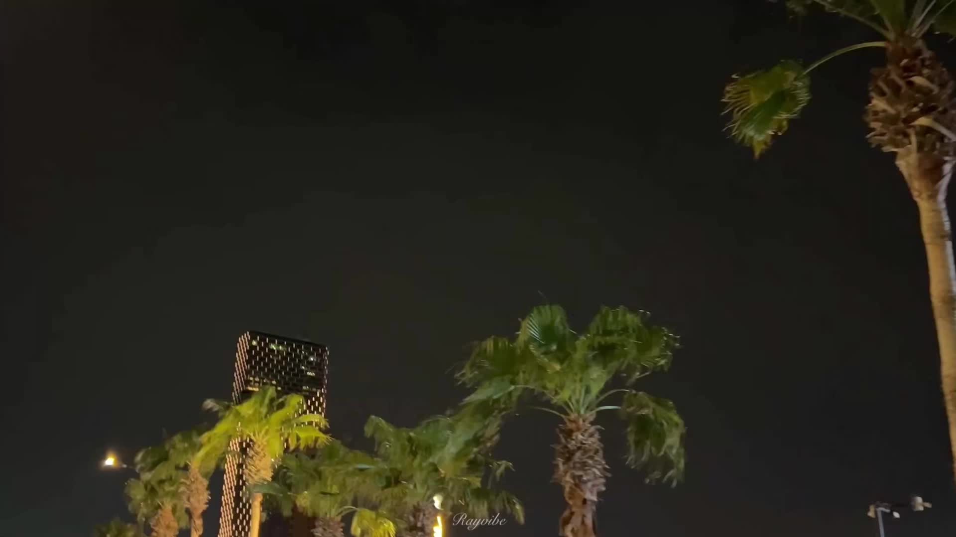 @rayvibe