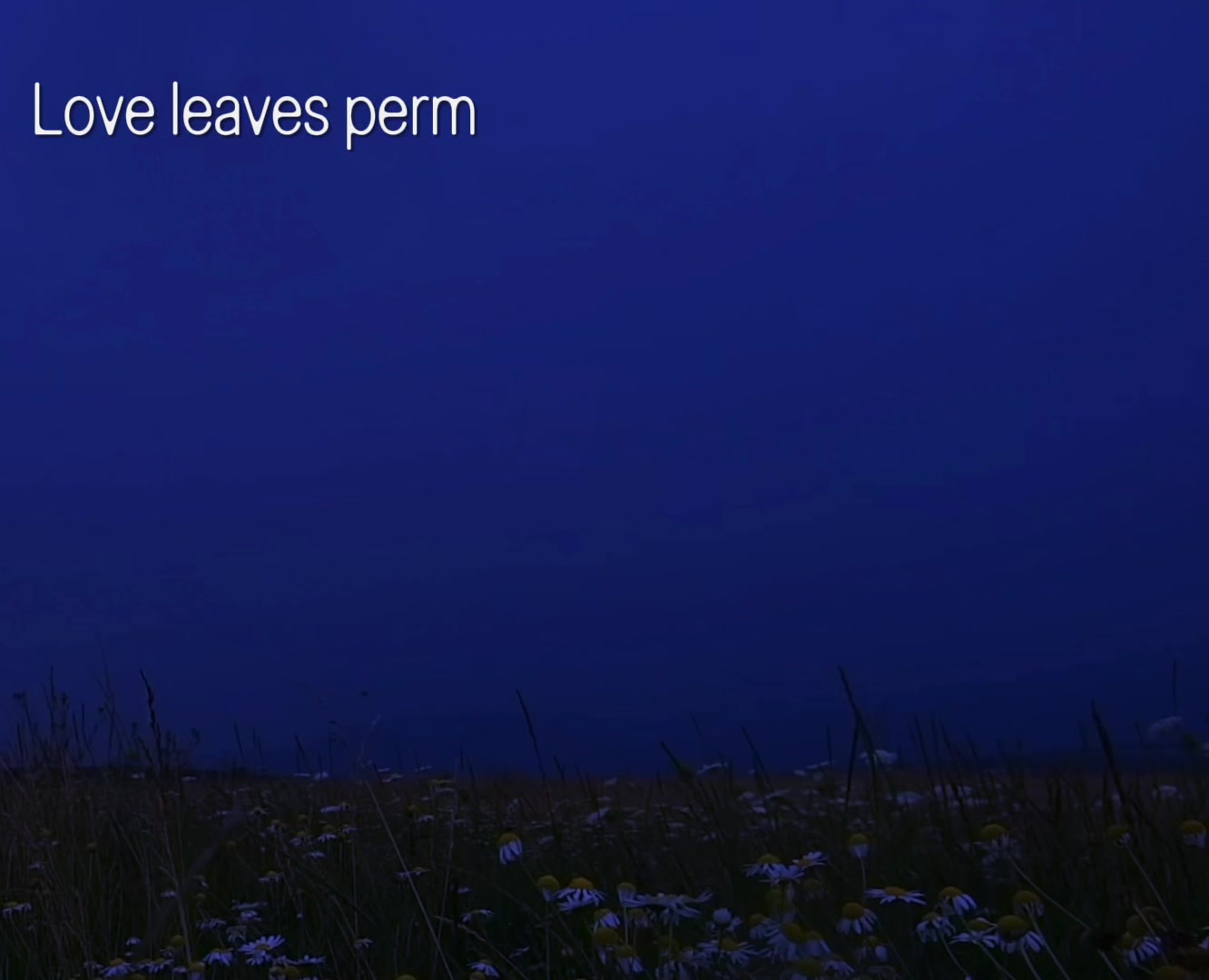 @Dex