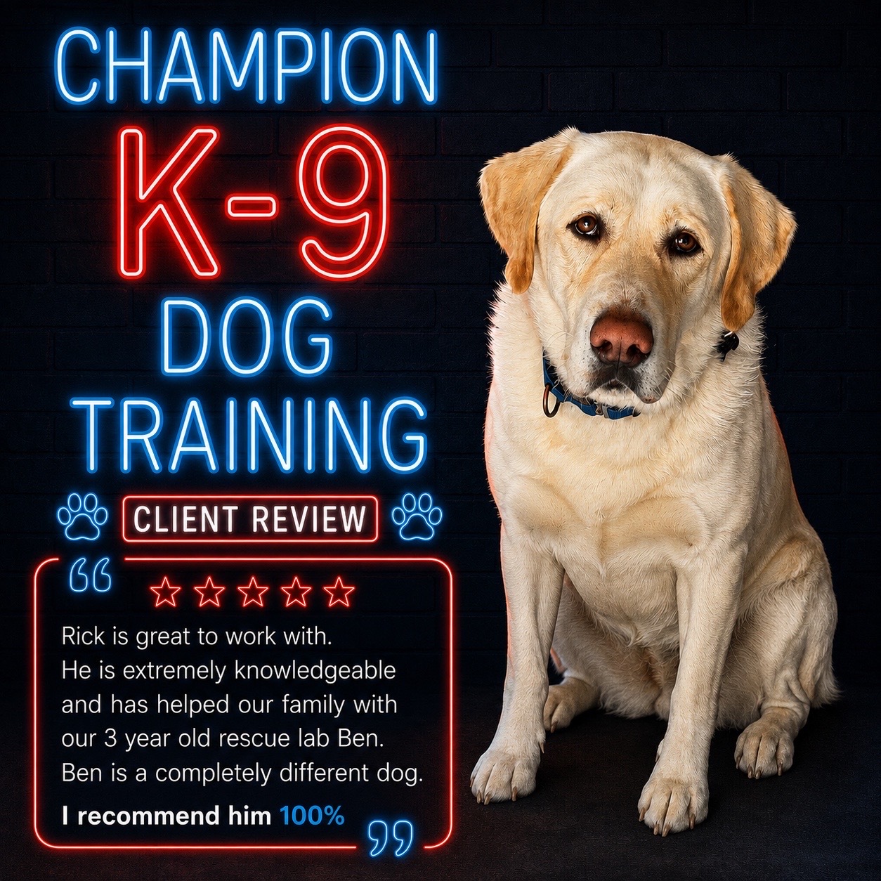 @ChampionK9DogTraining