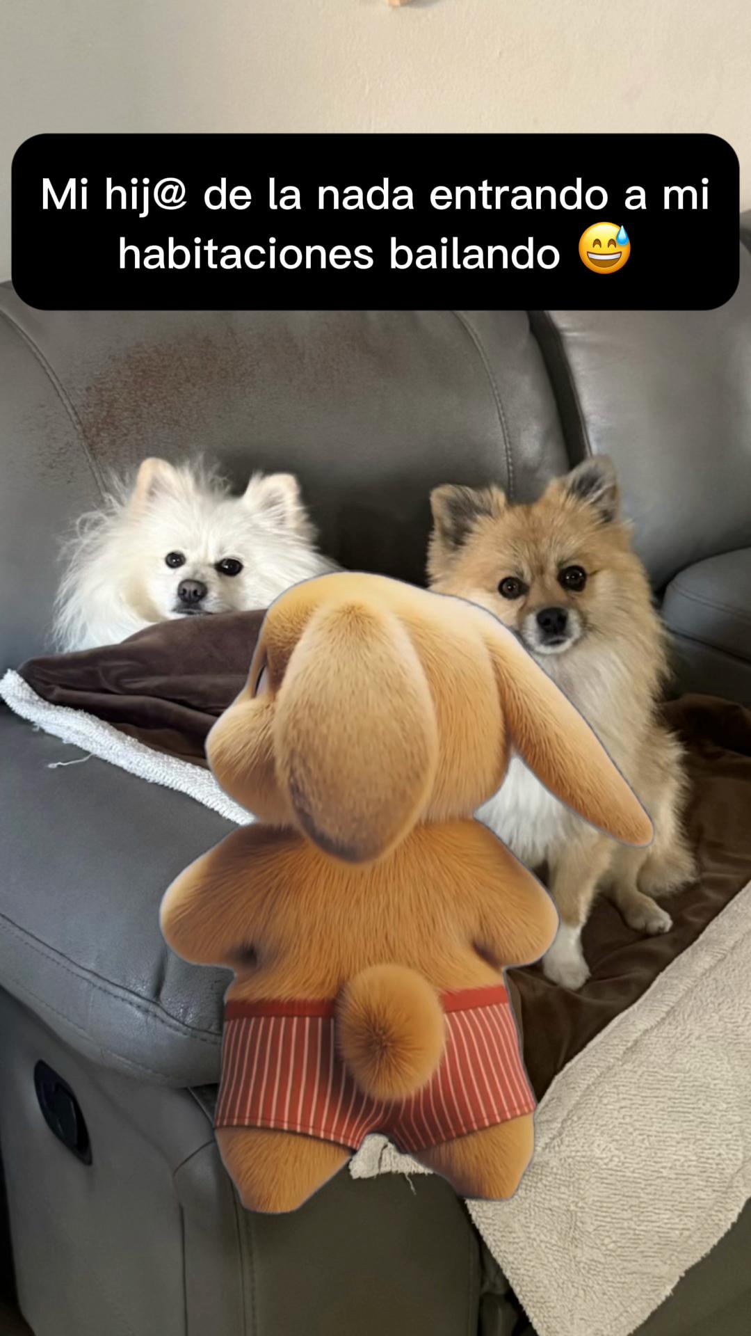 @Dallana y Dexter🐶
