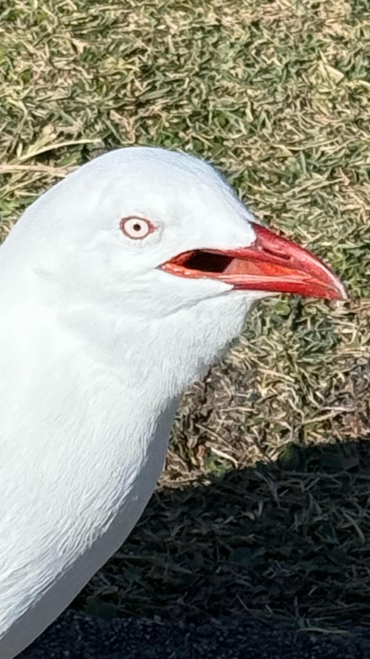 @Kimberley Duck24