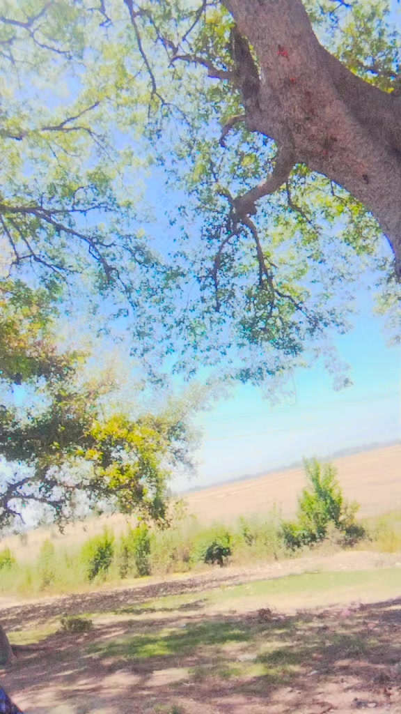 @𝑭𝑶𝑱𝑰 𝑷𝑨𝑨𝑵 𝑺𝑯𝑶𝑷 🦁