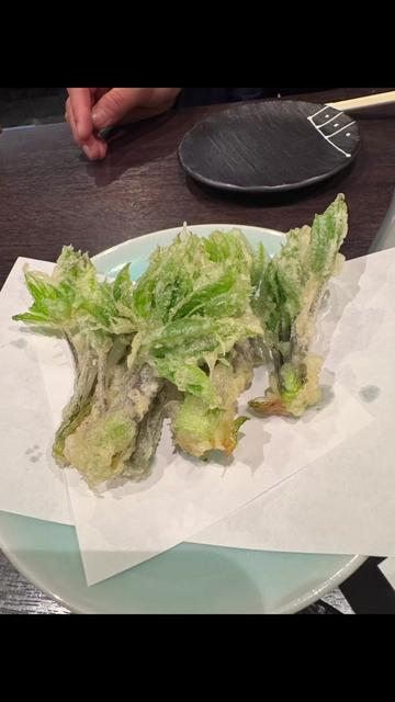 @宇宙人のzizi