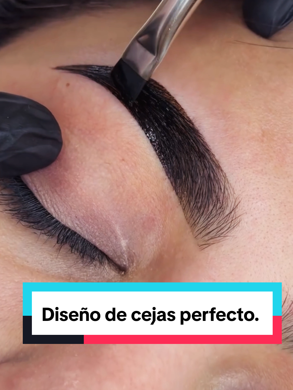 @CEJAS.EXPERT